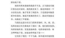 平凡故事的背后 初中生故事作文600字