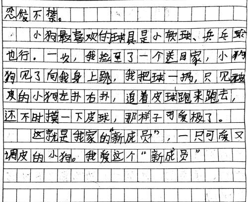 我喜欢动物小狗作文