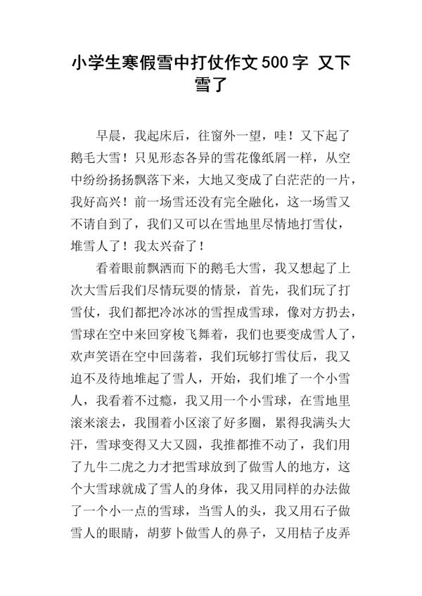 雪-下雪啦作文500字