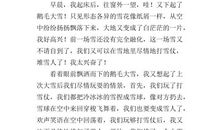 雪-下雪啦作文500字