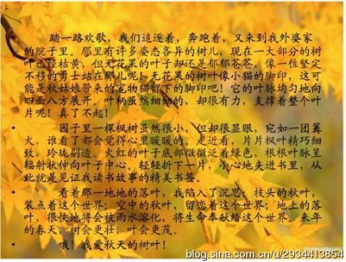 秋天的树叶 小学关于秋天的作文500字