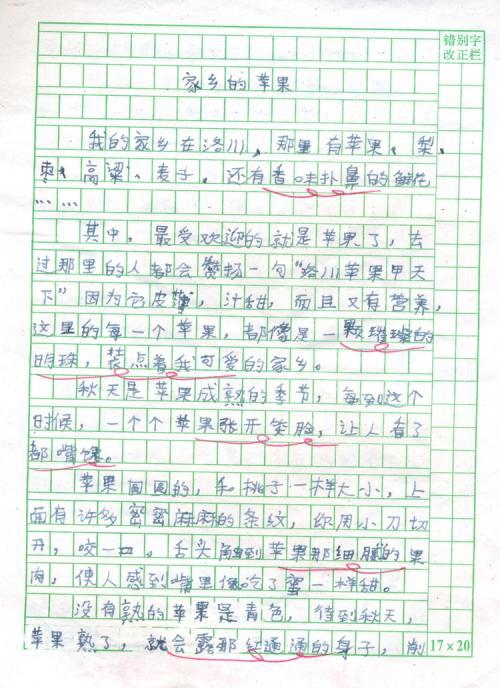 我的家乡-美丽的家乡作文300字