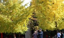 你是我心中的一首歌 温暖的亲情作文900字