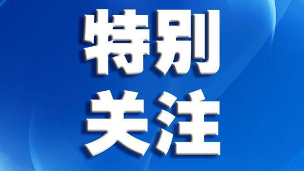 开学干货|华附名师夏俊萍:如何降服作文这只“诱人的老虎”?