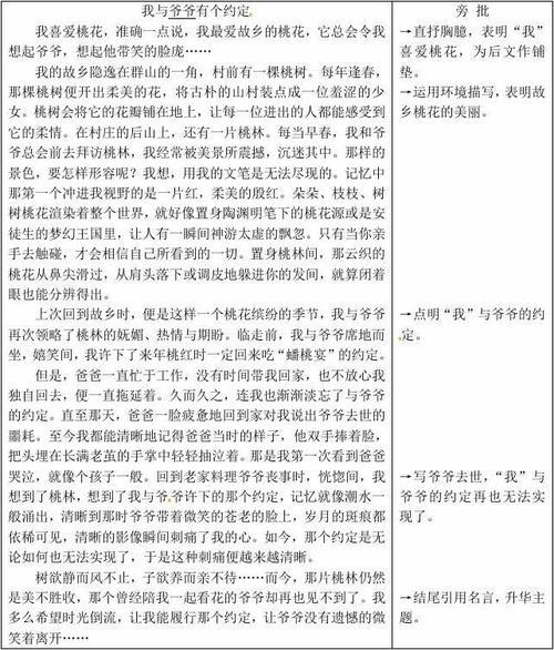 初三假期优秀议论文范文