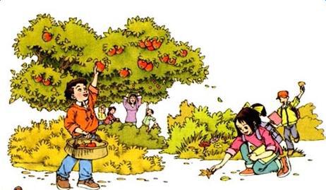 澳洲开心牧场的作文