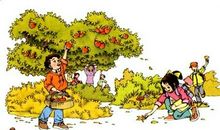 澳洲开心牧场的作文