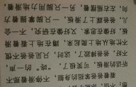 我的期待-初中记叙文700字