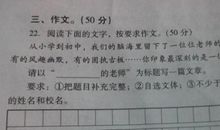 最美教师-我的语文老师作文700字