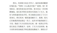 我是手帕作文650字