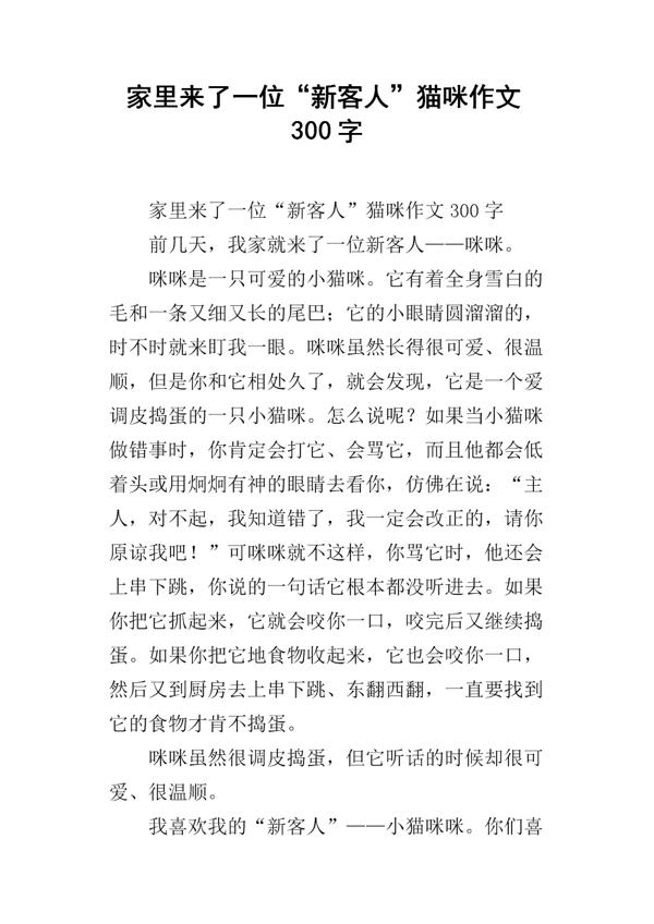 小区里的神秘猫咪作文