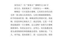 小区里的神秘猫咪作文