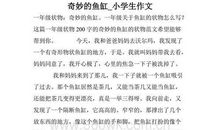 多功能鱼缸作文