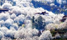 白云山 描写景色的作文500字