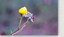 2020《让生命蛹化成蝶》读后感