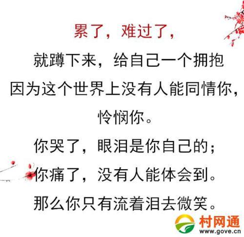 给我一个拥抱就够了 优秀记叙文800字