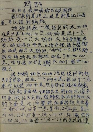 捉蚂蚱真有趣 写有趣的事作文700字