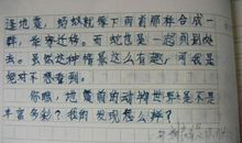 我的有趣发现 二年级关于发现的作文300字