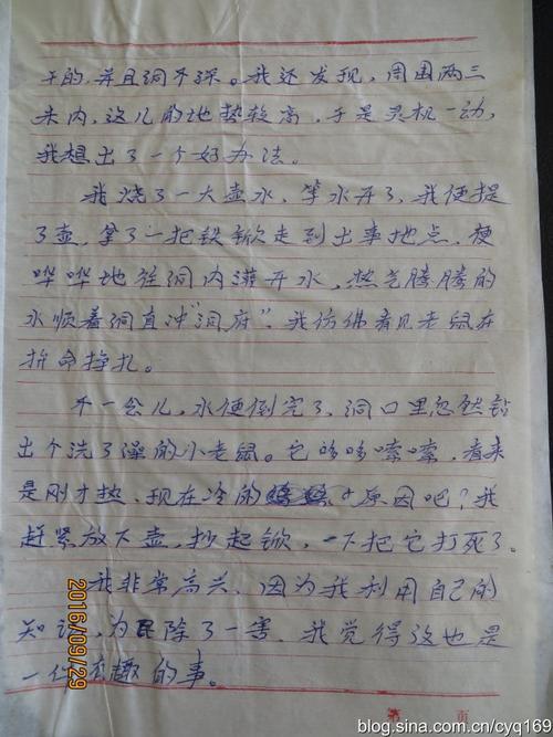 玩沙子-有趣的一件事作文300字