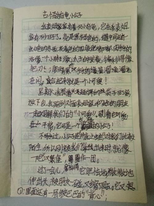 护蛋进行时-写事的作文700字