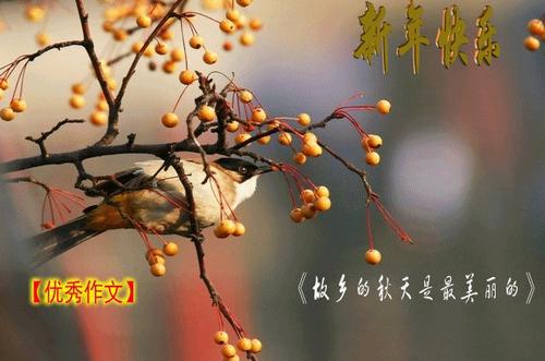 故乡的秋-描写秋天的作文1000字