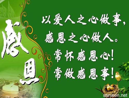 一路有你-感恩母爱作文600字