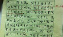 记忆停泊的地方-关于故乡的作文1200字