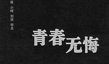 网课形式下的青春本色 优秀议论文700字