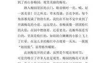 雪中的梅花 描写梅花的作文500字