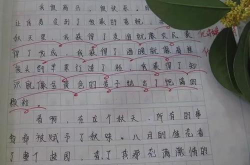 采撷那片美-优秀记叙文500字
