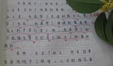 采撷那片美-优秀记叙文500字