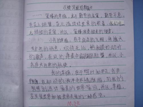 夜晚-小学生日记200字