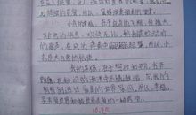 夜晚-小学生日记200字