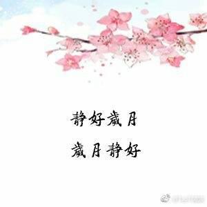 静下来，生活好精彩 初中生心情作文600字
