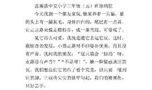 生活中有趣的现象-优秀记叙文300字