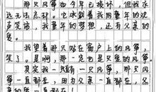 2005年重庆高考满分作文：自嘲_1200字