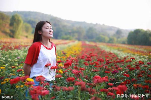 作文点评:《最爱土豆饼》,香气口感,形状色泽,让人垂涎三尺 2