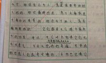 四季的雨 五年级写雨的作文800字