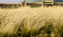 《赋得古原草送别》白居易十六岁考试作文，与元稹驿站墙互留诗