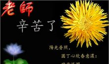 关于教师节的诗歌：仰慕园丁_800字