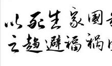 苟利国家生死以 ，岂因祸福避趋之 武汉加油作文800字