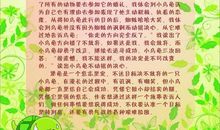 在知识的海洋里前进 读书使我快乐作文600字