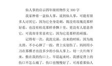 惊喜-仙人掌的启示作文700字