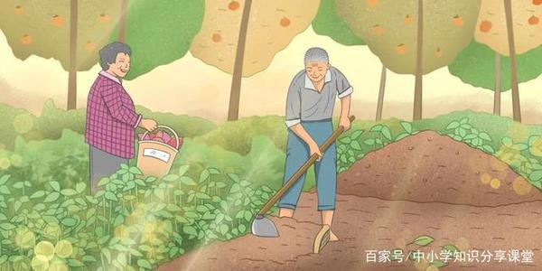 爷爷的菜园――我的乐园作文800字