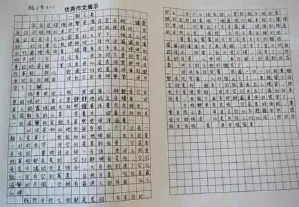 寻猫记 暑假的一件事作文500字