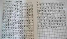 寻猫记 暑假的一件事作文500字