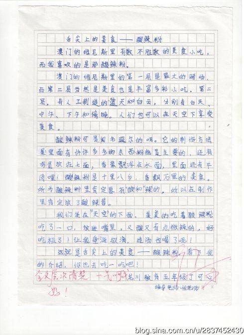 种子快长大 五年级写活动的作文800字