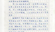 种子快长大 五年级写活动的作文800字