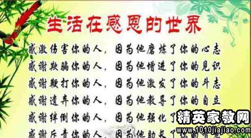 关于感恩父母的名言警句（国内篇）