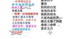 我真想用笔涂黑奶奶的白发 六年级亲情作文900字